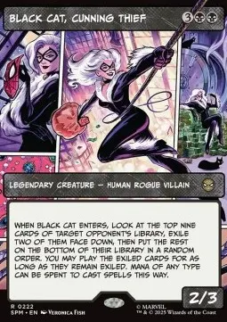 Black Cat, Cunning Thief
