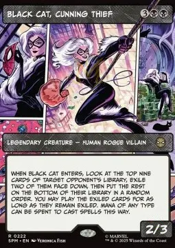 Black Cat, Cunning Thief