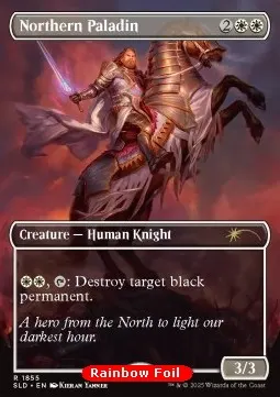 Northern Paladin