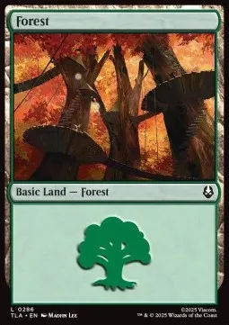Forest