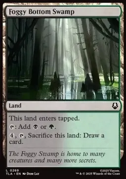 Foggy Bottom Swamp