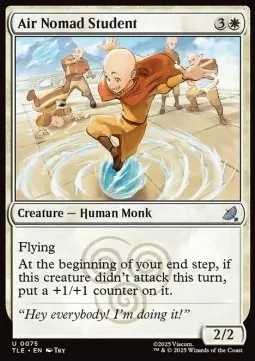 Air Nomad Student