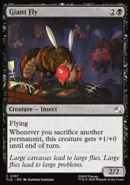 Giant Fly