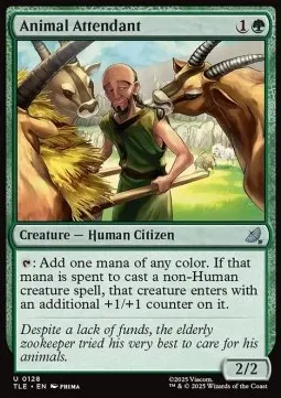 Animal Attendant