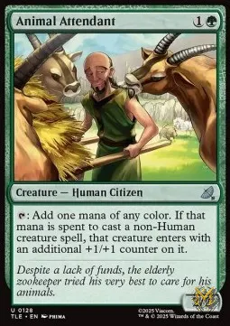 Animal Attendant