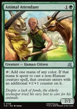 Animal Attendant