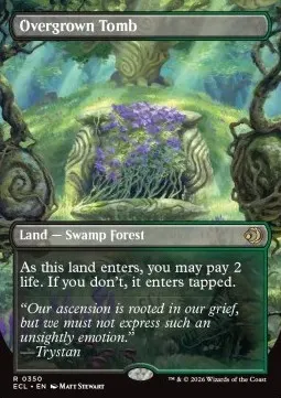 Overgrown Tomb // Overgrown Tomb