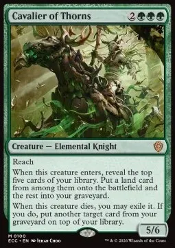 Cavalier of Thorns