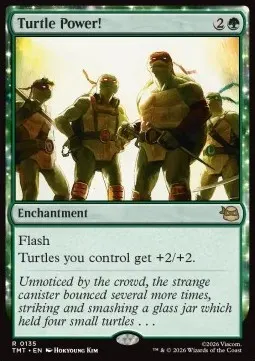 Turtle Power!