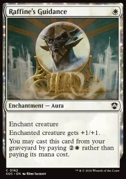 Raffine's Guidance