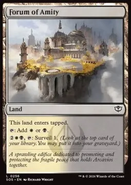 Forum of Amity
