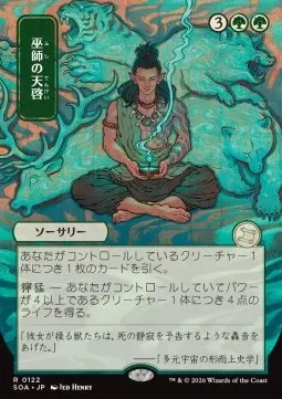 Shamanic Revelation