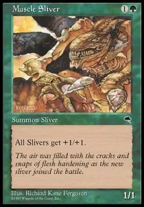 Muscle Sliver