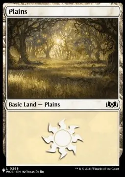 Plains