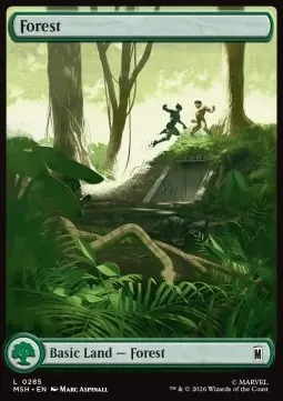 Forest