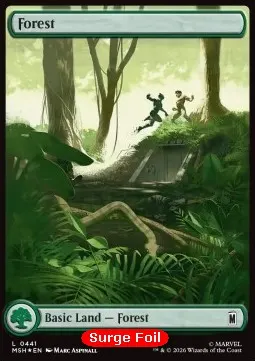 Forest