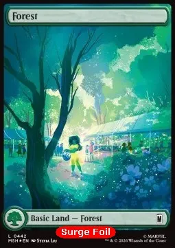 Forest