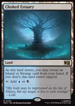 Choked Estuary