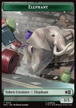 Elephant // Rhino