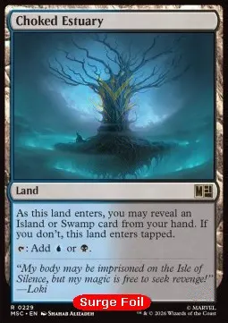 Choked Estuary