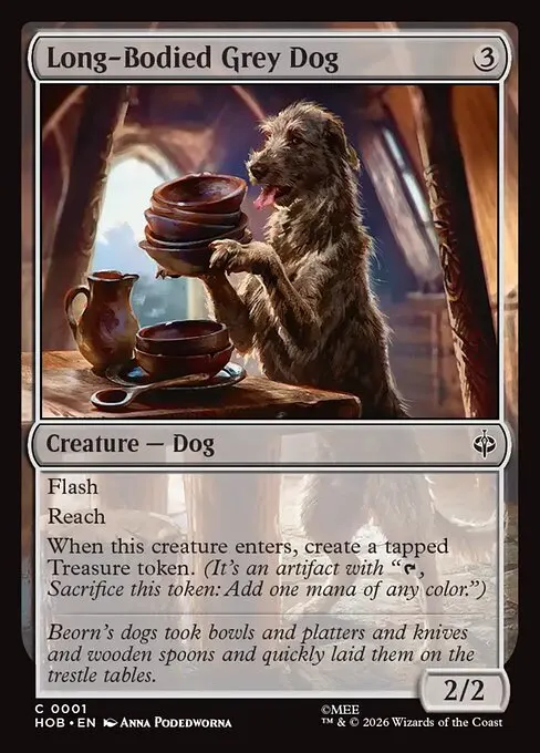 Long-Bodied Grey Dog