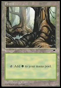 Forest