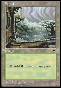 Forest