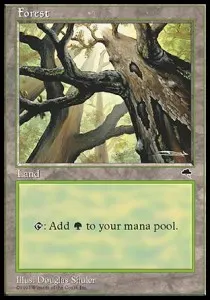 Forest