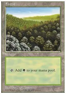 Forest