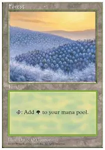Forest