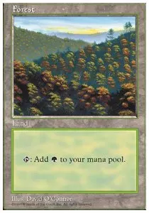 Forest
