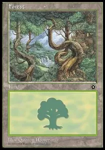 Forest
