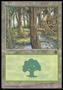 Forest