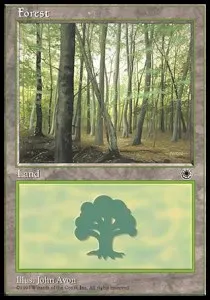 Forest