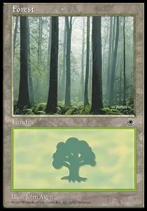 Forest