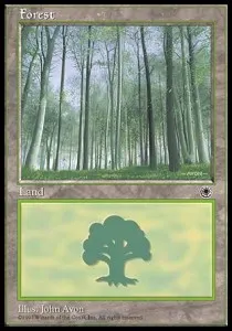 Forest