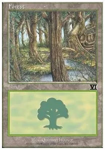 Forest