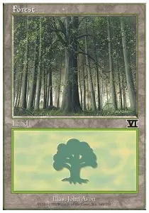 Forest