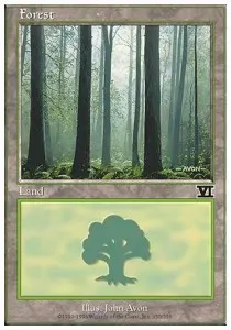 Forest