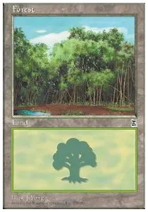 Forest