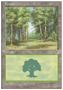 Forest