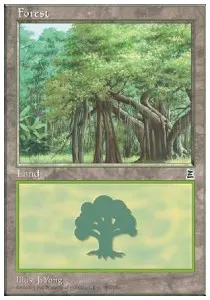 Forest