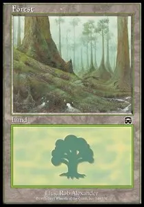 Forest
