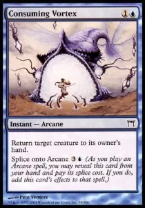 Consuming Vortex