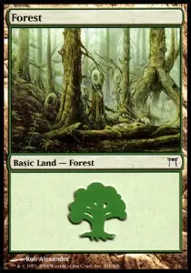 Forest