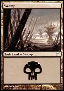 Swamp