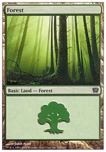Forest
