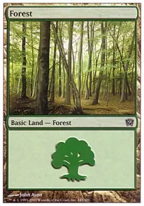 Forest