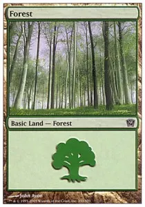 Forest