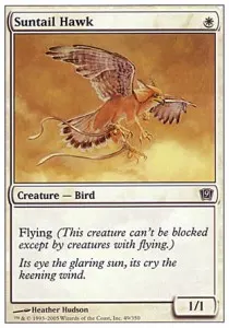 Suntail Hawk